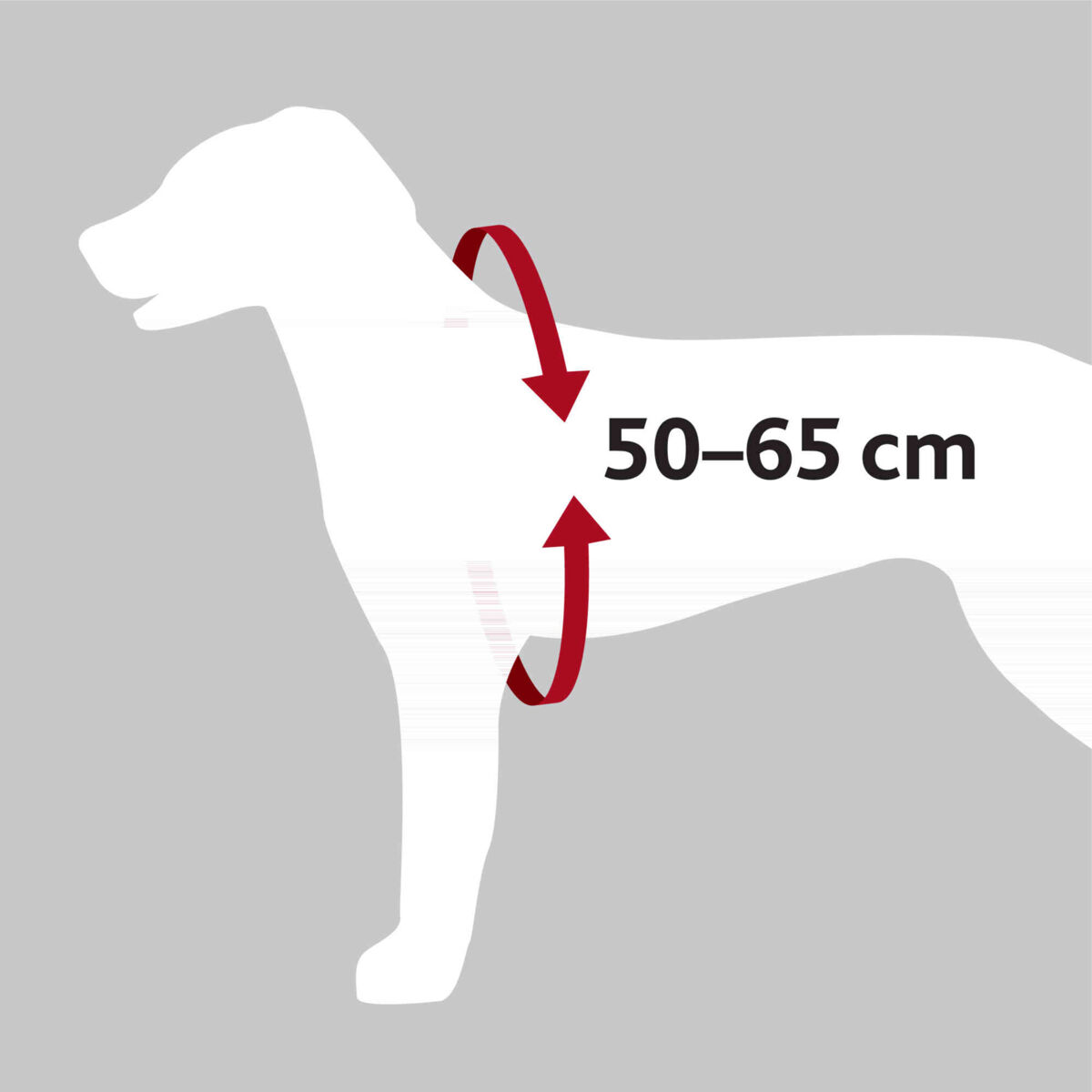 Trixie Harnais Voiture Dog Protect à Prix Carrefour