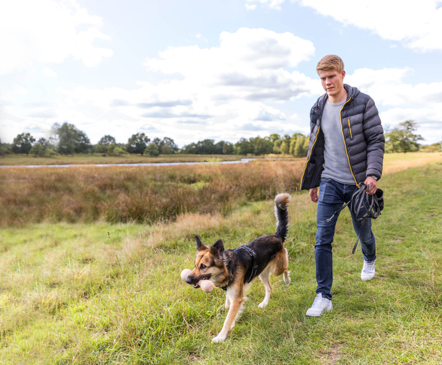 Hondenlijnen - Hondenlijnen kopen