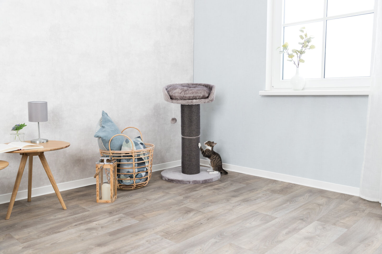 Corteccia Di Pino Trixie Per Rettili - 10 LT, Antifungino, Trattata A Caldo, Senza Polvere - Foto 12