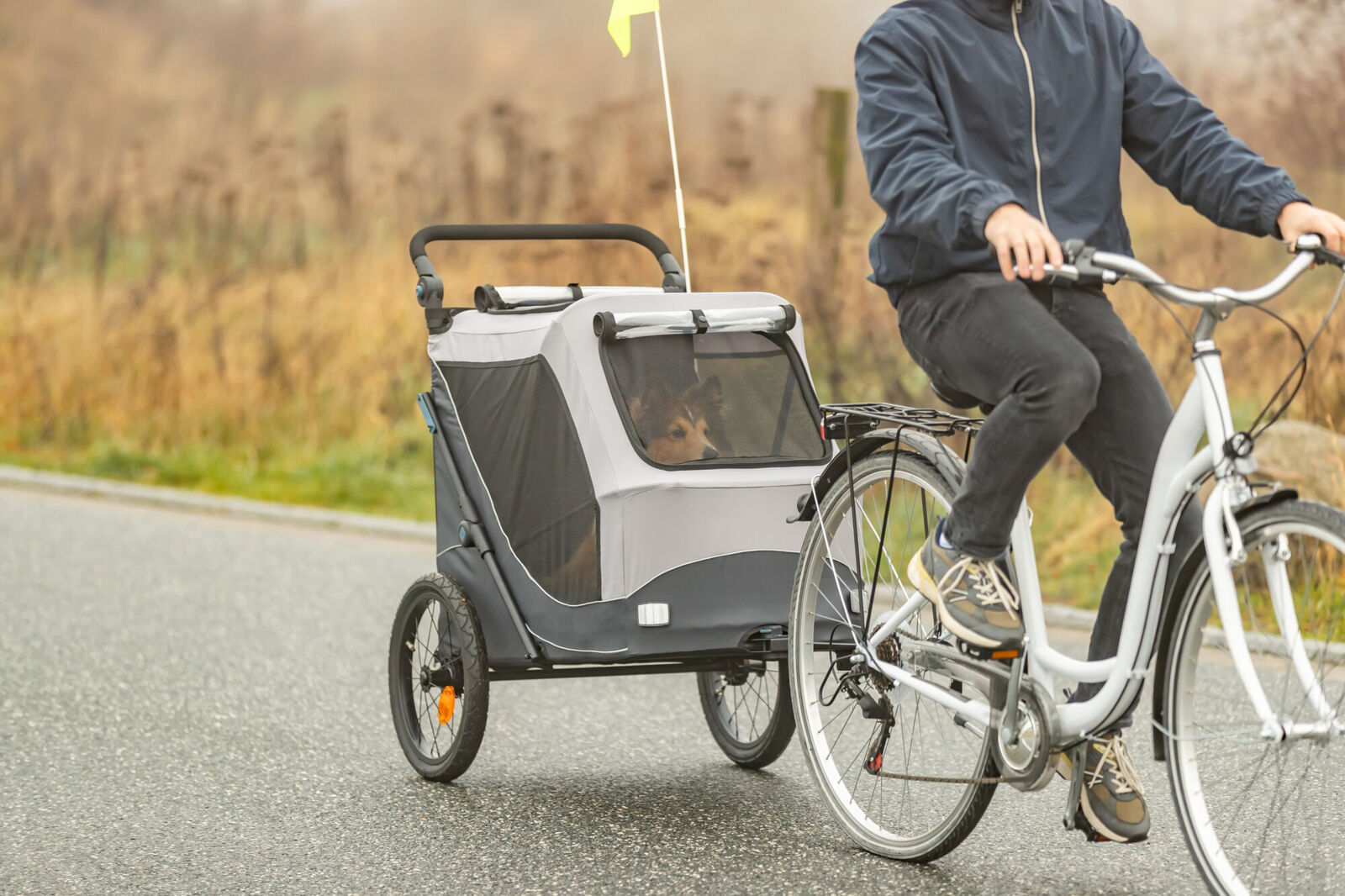 TRIXIE Fahrradanhnger fr Hunde, zum Jogger umbaubar