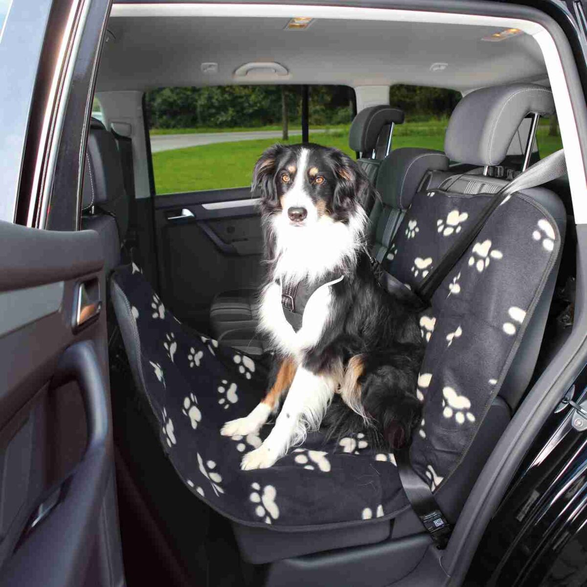 Housse de protection de siège arrière de voiture pour chien - Confort &  Sécurité - la-boutique-de-jean-mi