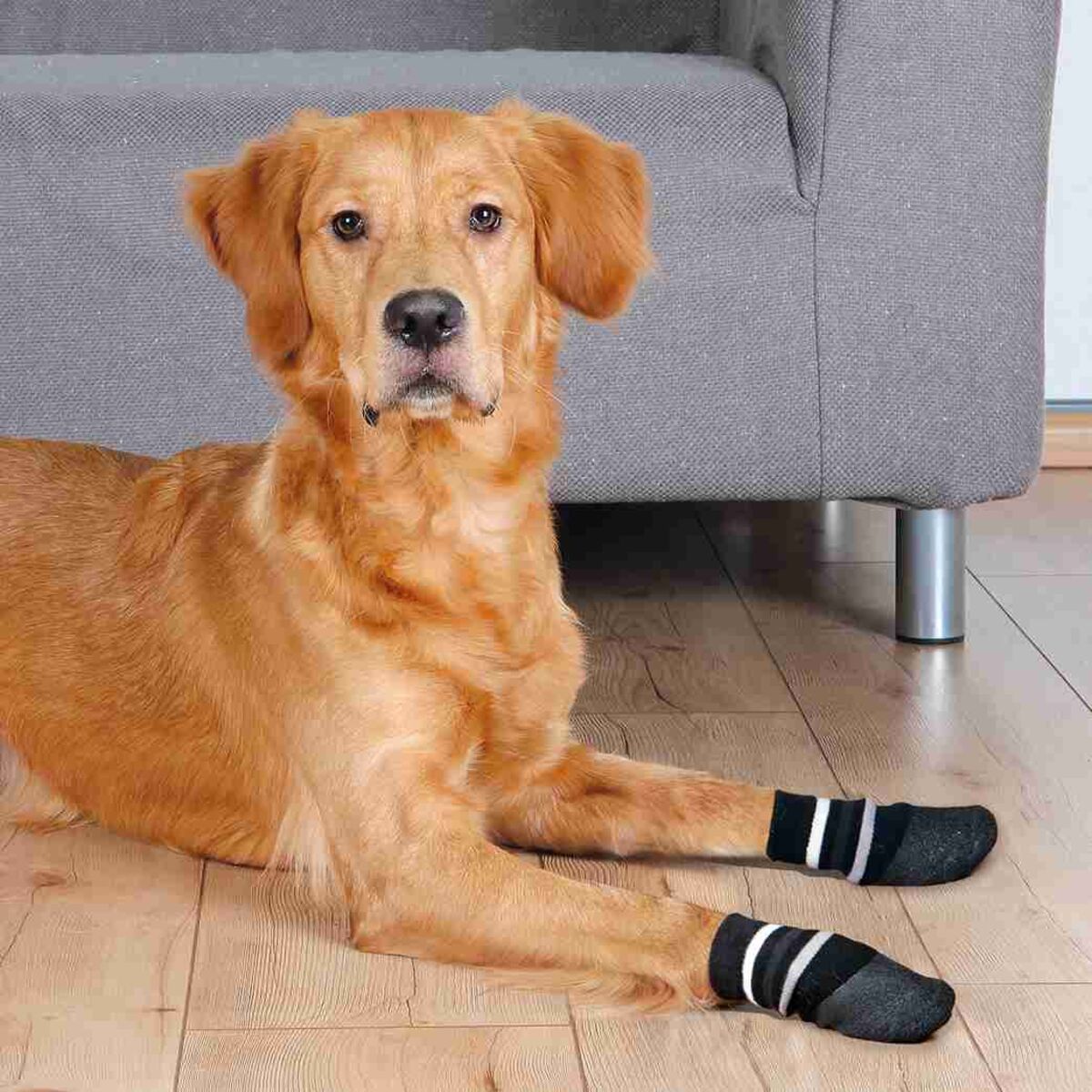 TRIXIE Dog Socks, Non-Slip Socks, Dog Clothes