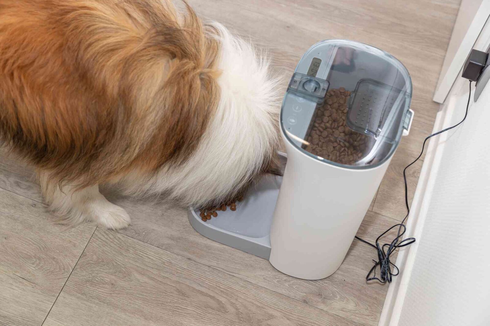 Trixie voederautomaat TX-C Smart - 5 liter - met camera