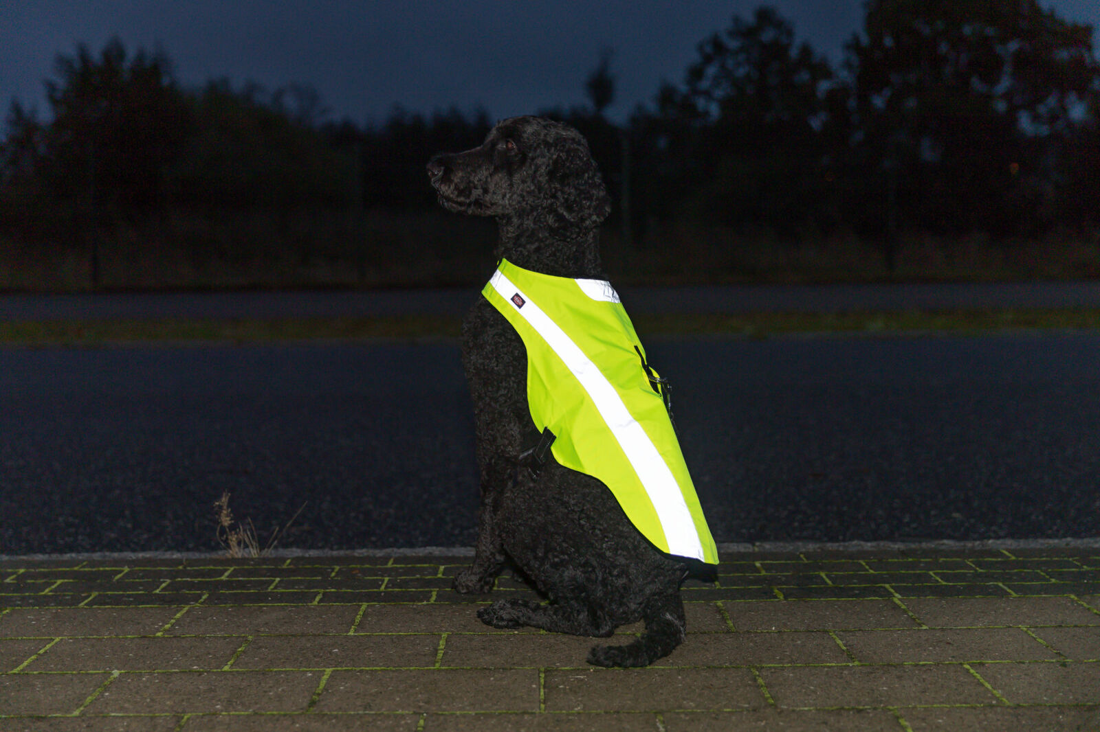 TRIXIE Sicherheitsweste für Hunde, Hunde-Warnweste