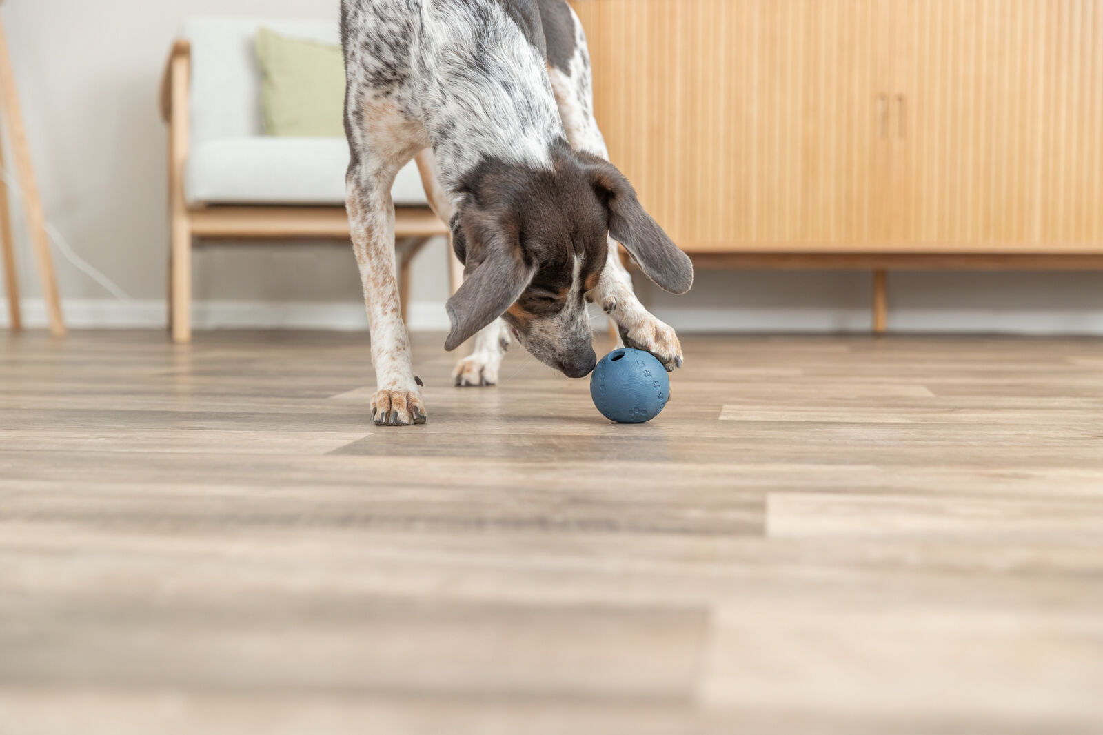 Palla Per Snack Trixie - In Gomma Naturale, Diametro 9cm, Con Ostacolo Interno Per Giochi Intelligenti - Foto 8