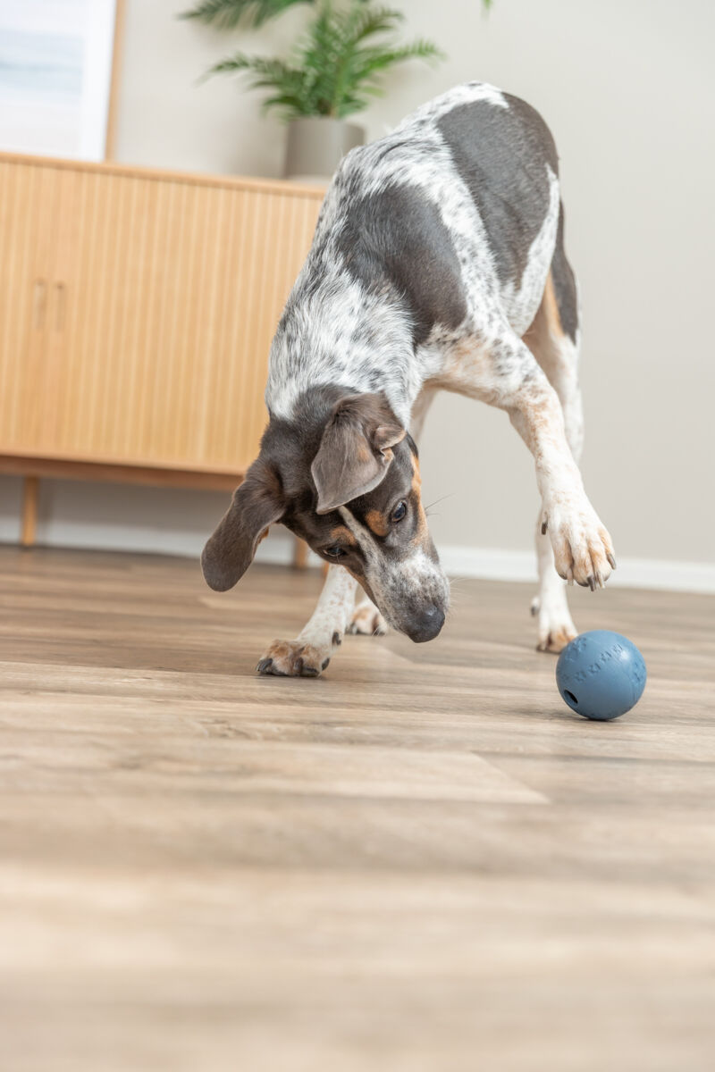 Pallina Con Picchi Per Cani Trixie - 9 Cm, Gomma Naturale Con Squittio