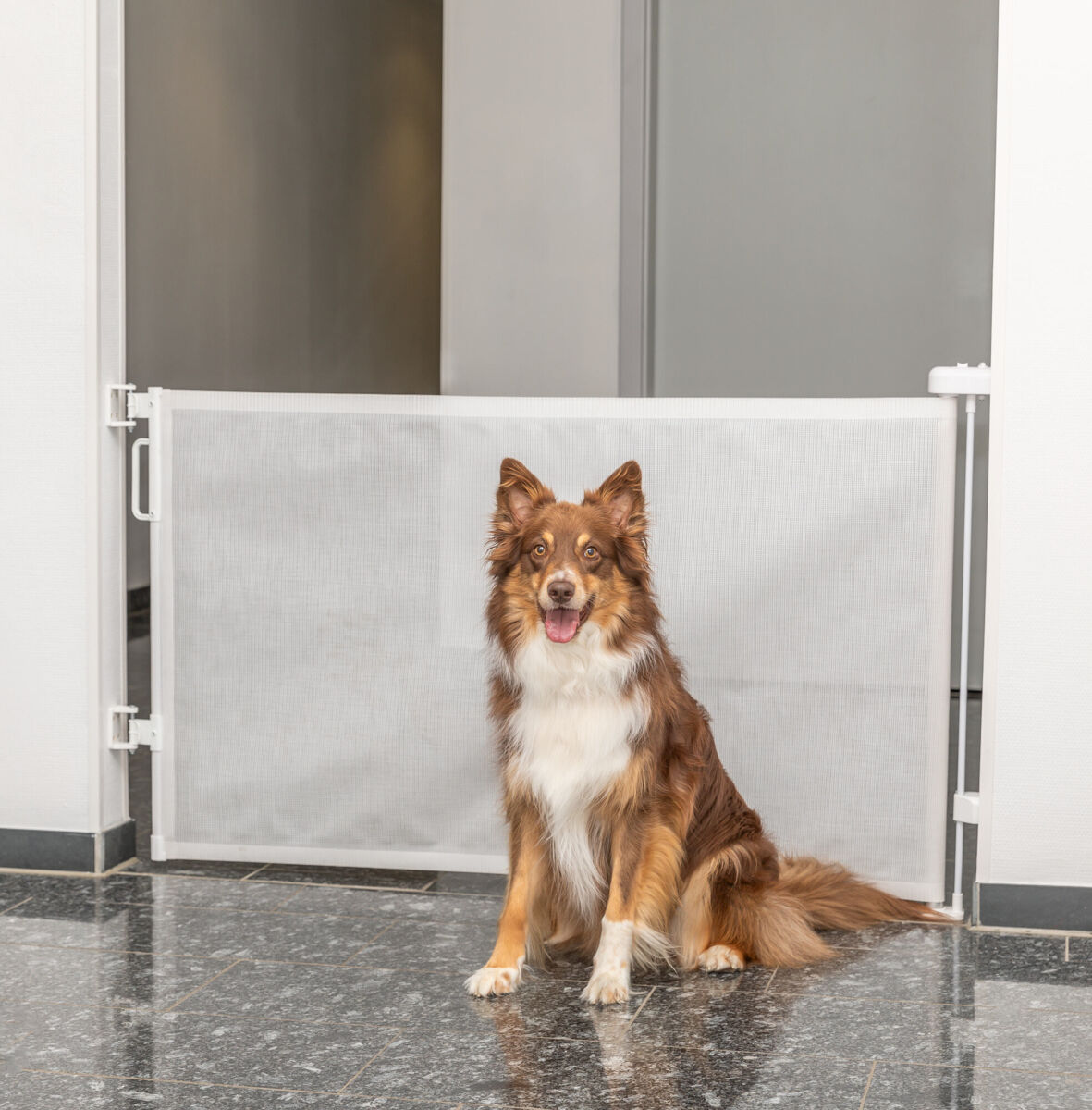 Barriera Di Sicurezza Retrattile Per Scale E Animali – Larghezza 0-150 Cm, Altezza 86 Cm, Bianca - 2