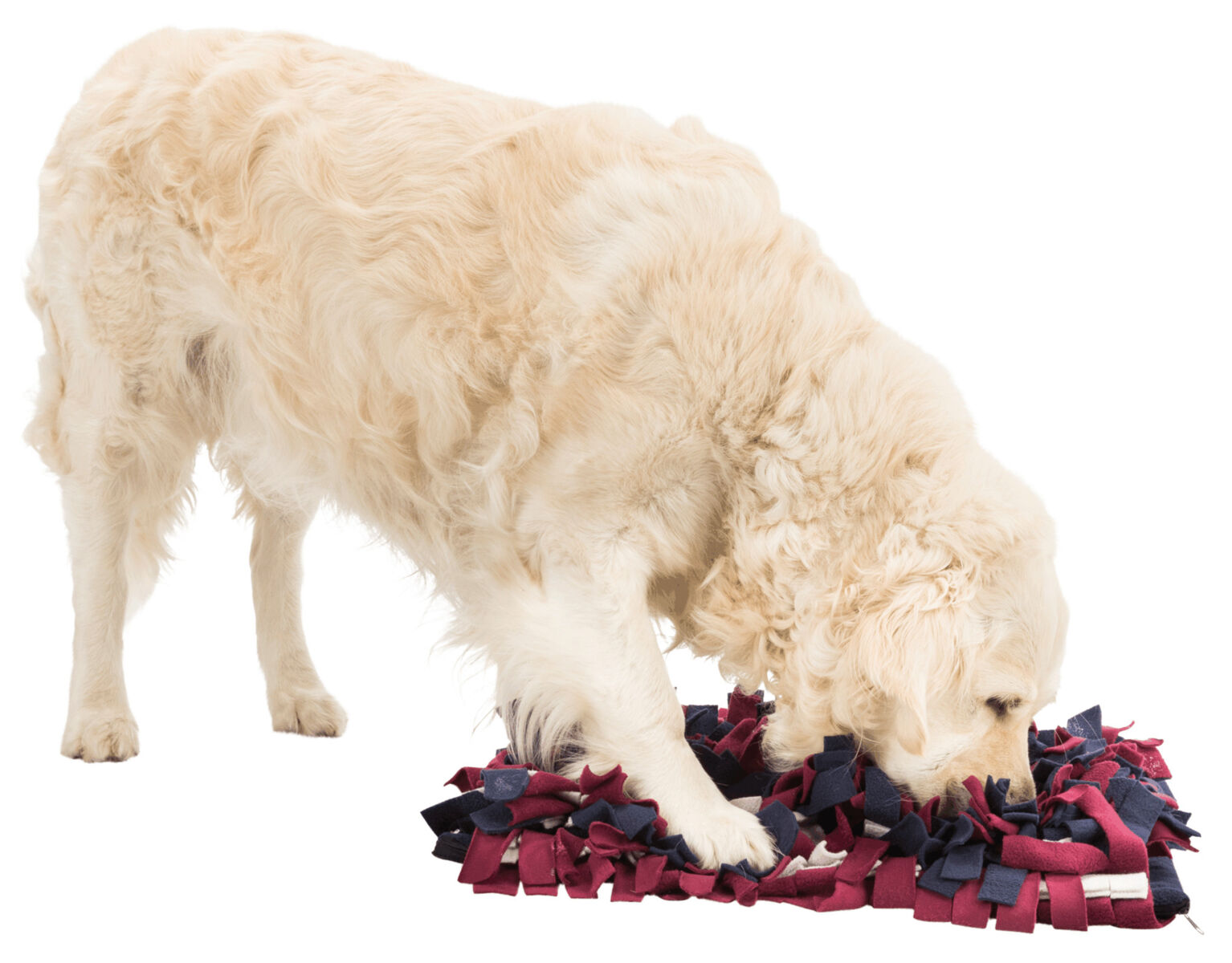 TRIXIE Sniffing Carpet Snack Game for Dogs