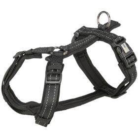 Trekking Harness