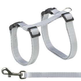 Harness with Lead