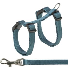 Harness with Lead