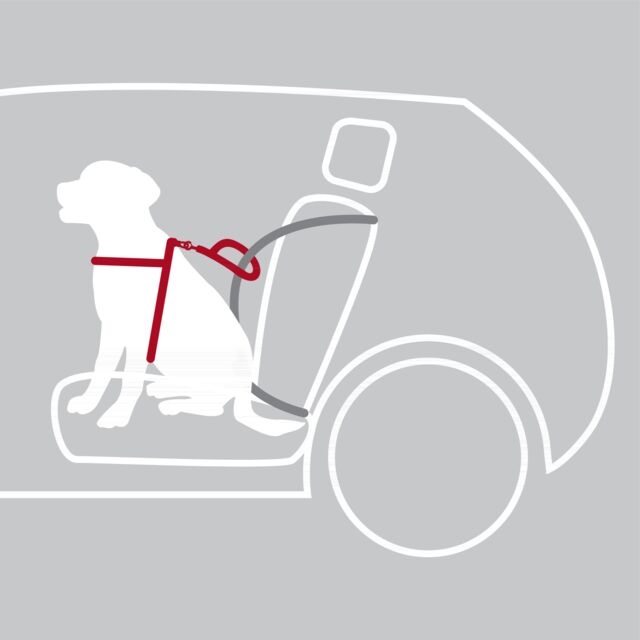 Trixie Dog Short Leash Lead Car Harness Extension Seat Belt Adapter Clip  45-70cm