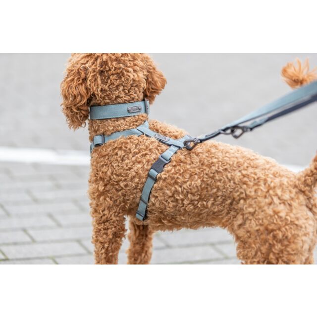 TRIXIE Native Line, M-L: 1,00 m/20 mm, cappuccino, hond