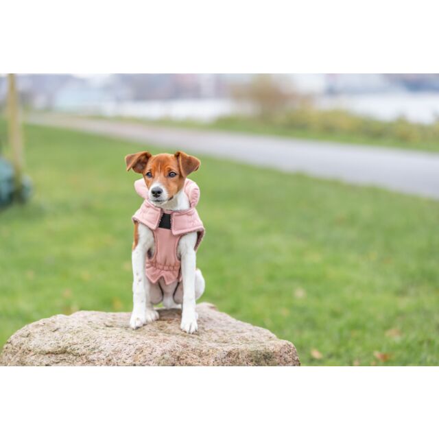 Trixie Jas met Tuig Pontis Rain | Hond | Bestellen