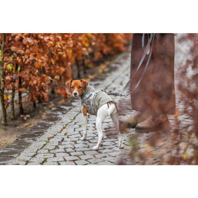 Croci Tuig Voor Hond Tricky Dear Devil slechts € 21,75 voor 41-48 Cm Croci Tuig Voor Hond Tricky Dear Devil slechts € 21,75 voor 41-48 Cm