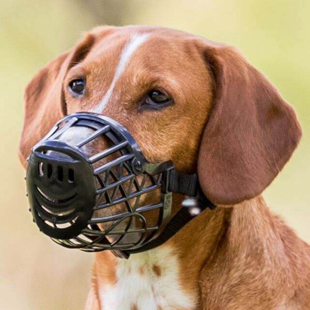 How to pre-order new sizes!– The Muzzle Movement