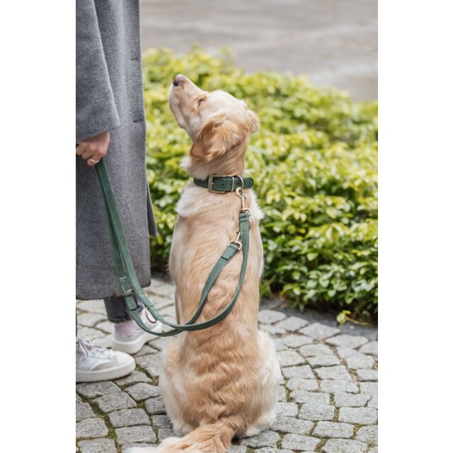 terra canis hundefutter Terra Canis Marktragout Wild & Huhn – Hundefutter – zoo.de main image 1