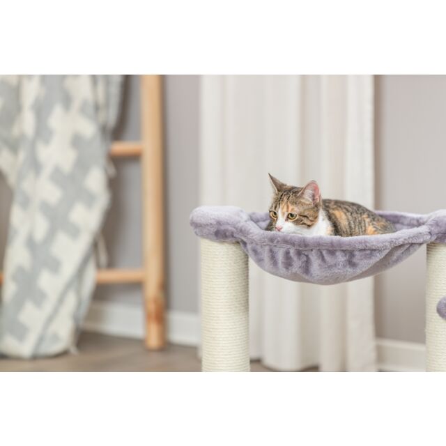 timed cat feeder wet food Robotail F20 Smart Pet Feeder