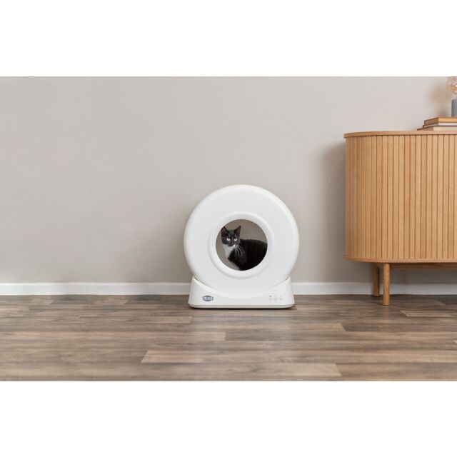 Smarte, selbstreinigende Katzentoilette
