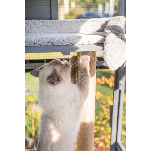 Top Tasta Transportador De Mascotas Para Gatos Pequeños, Medianos Y Grandes Transportador De Lados Suaves Portatil Plegable Aprobado Por