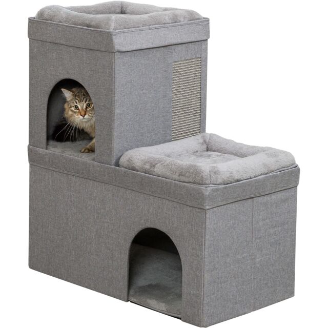 crazy cat beds
