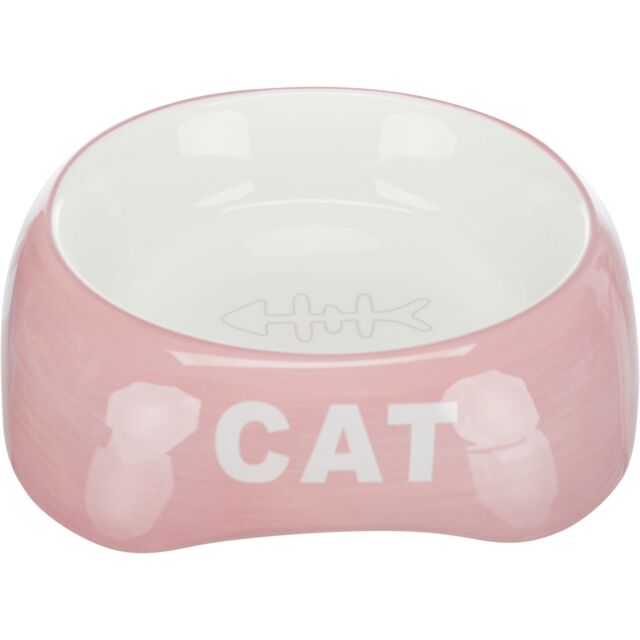Ceramic Bowl