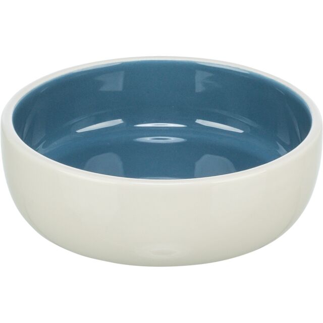 Ceramic Bowl
