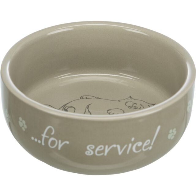 Ceramic Bowl