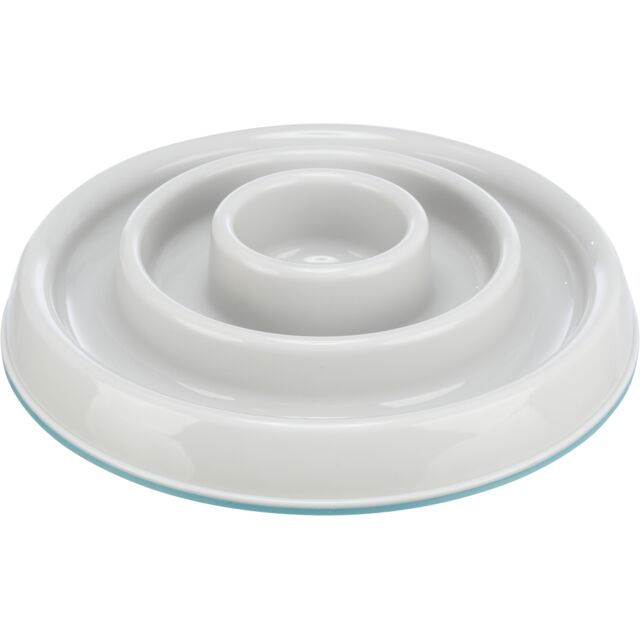 Slow Feeding Plastic Bowl