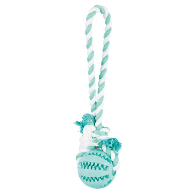 Denta Fun Playing Rope with Ball