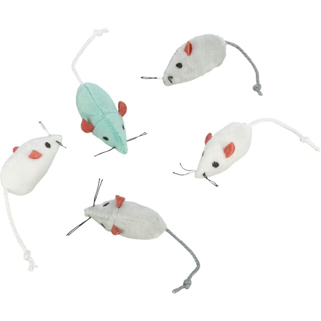 Mouse in display