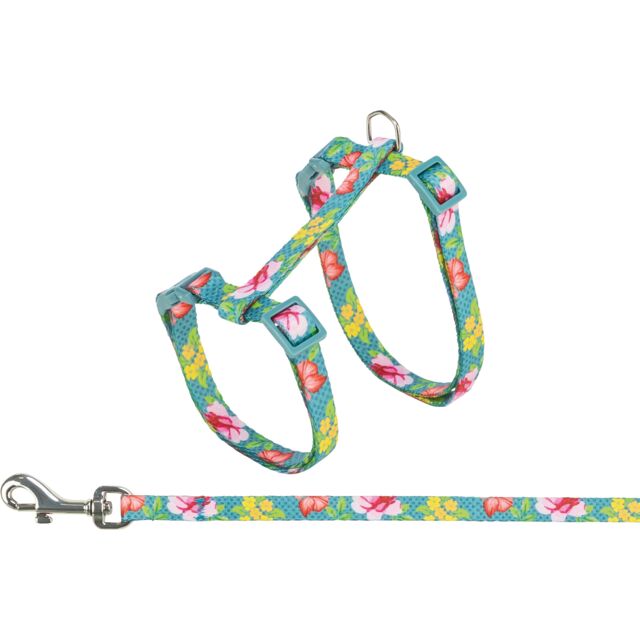 Harness with Lead