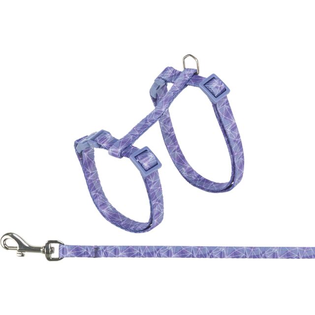 Harness with Lead