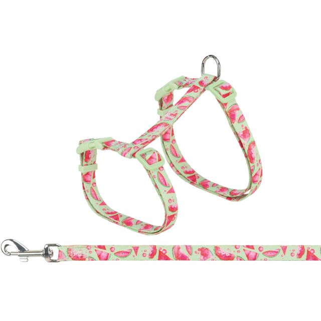 Harness XXL with Lead