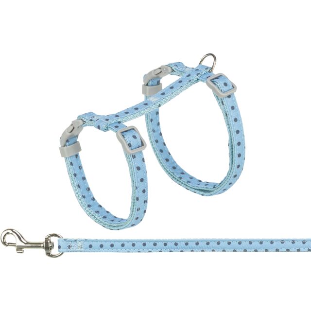 Harness with Lead