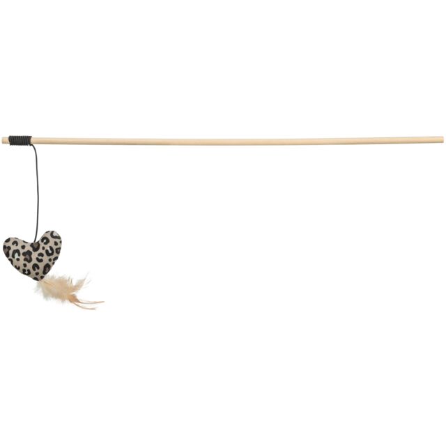 Playing Rod Heart