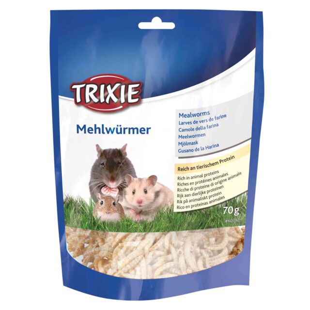 Mealworms
