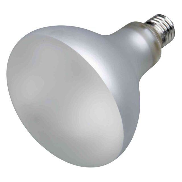 ampoule Trixie UV-B623W