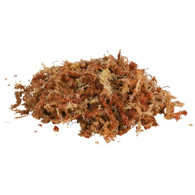 Musgo sphagnum-100gr 