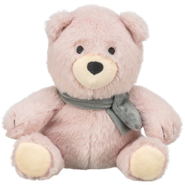 Teddy