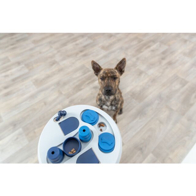 Trixie Dog Strategy Game Hide 'N Slide Trixie Dog Strategy Game Hide 'N Slide