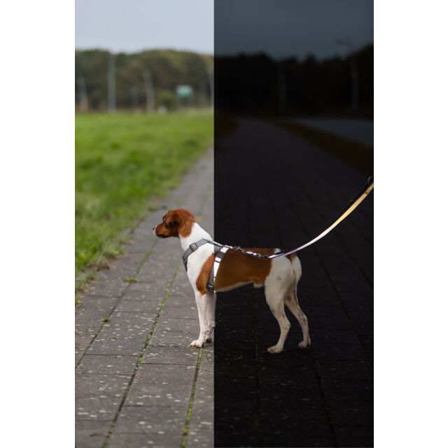 Premium Reflect Adjustable Lead