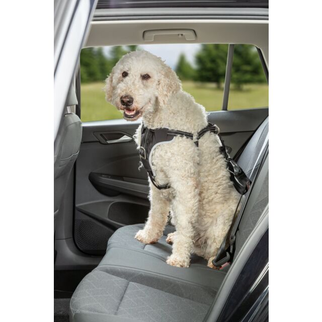 Harnais de sécurité voiture pour chat réf. 1294 Trixie - Feu Vert