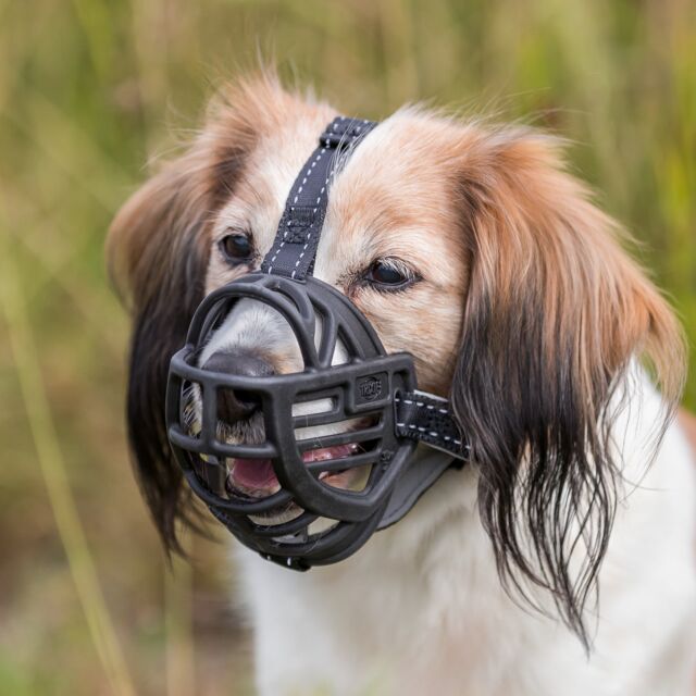 Muzzle Muzzle Flex