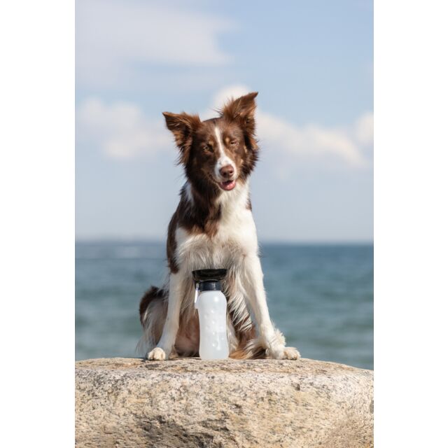 Trixie Bottiglia Con Ciotola Per Animali - 700ml, Colori Assortiti, Per Cani E Gatti - Foto 7