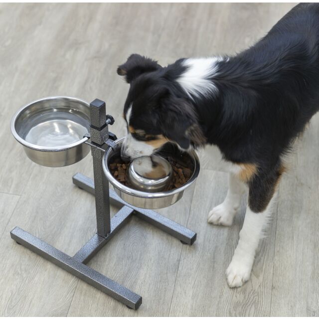 BLEX Tagliapasta In Acciaio Inox A Forma Di Cane, Per Biscotti, Fimo E Quiche, Dimensioni 5,9 Cm, Colore Argento