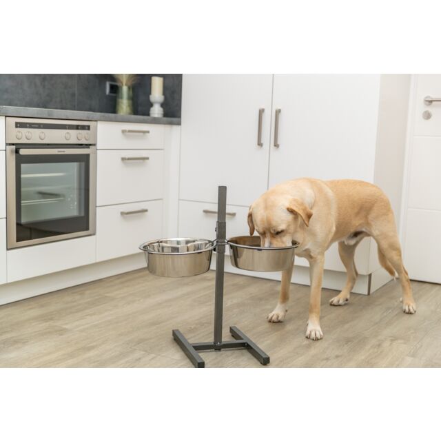Dispensatore Automatico Cibo Per Gatti E Cani - Timer 4 Pasti Giorno - Registrazione Voce - 6L - Foto 7