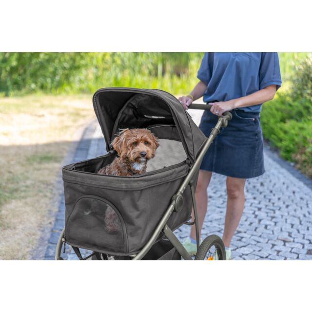 Buggy fr Hunde