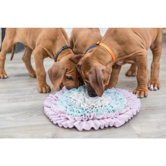 Alfombra Olfativa Para Perros TRIXIE Junior - Diámetro 38 Cm - Juguete Mental Que Estimula El Olfato