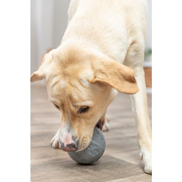 Per I Cani - Palla Di Plastica Trixie Snack | La Sellerie De Maé - Foto 11